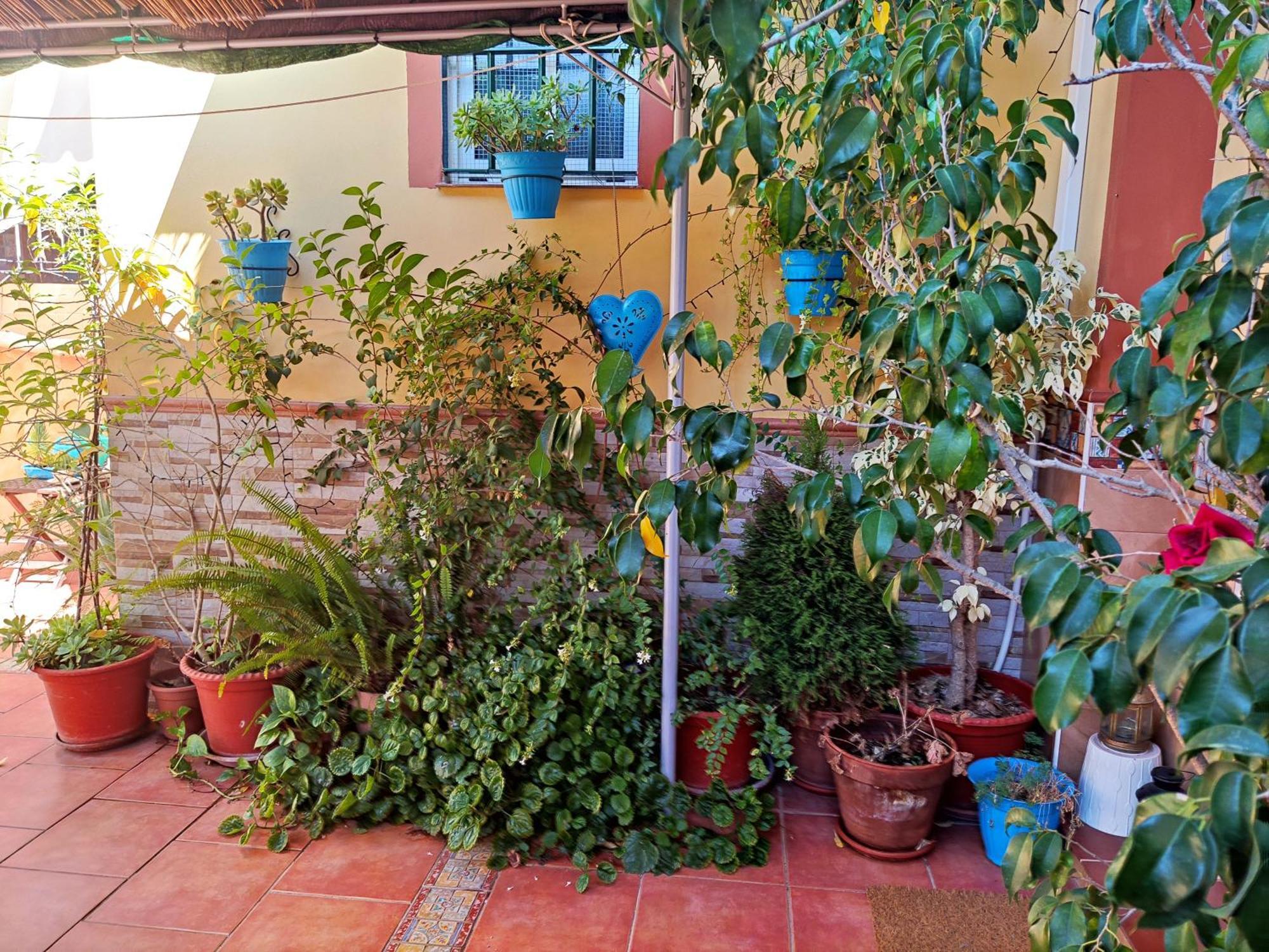 Apartamento Cool Garden Mairena del Aljarafe Zewnętrze zdjęcie