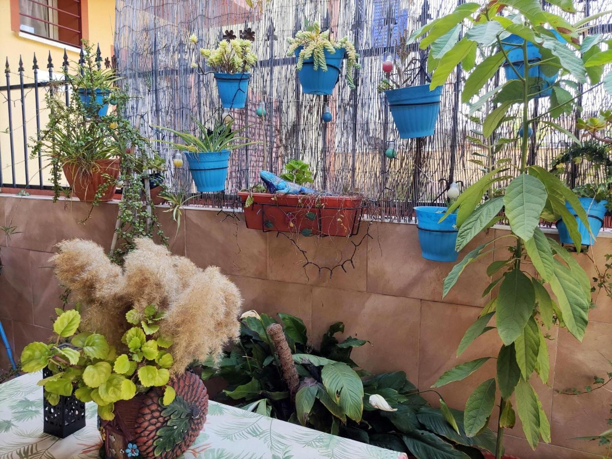 Apartamento Cool Garden Mairena del Aljarafe Zewnętrze zdjęcie